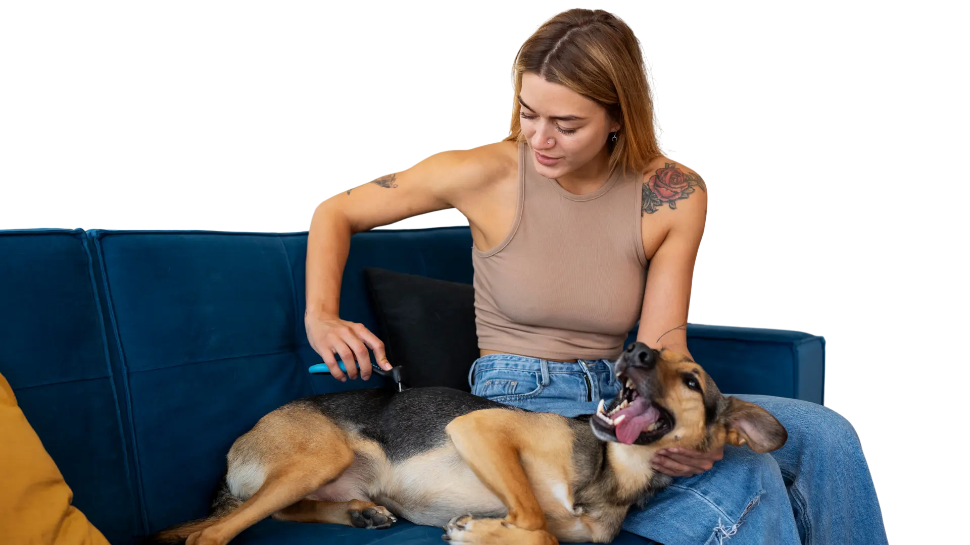 Site internet professionnel pour pet sitter montrant une femme avec un chien