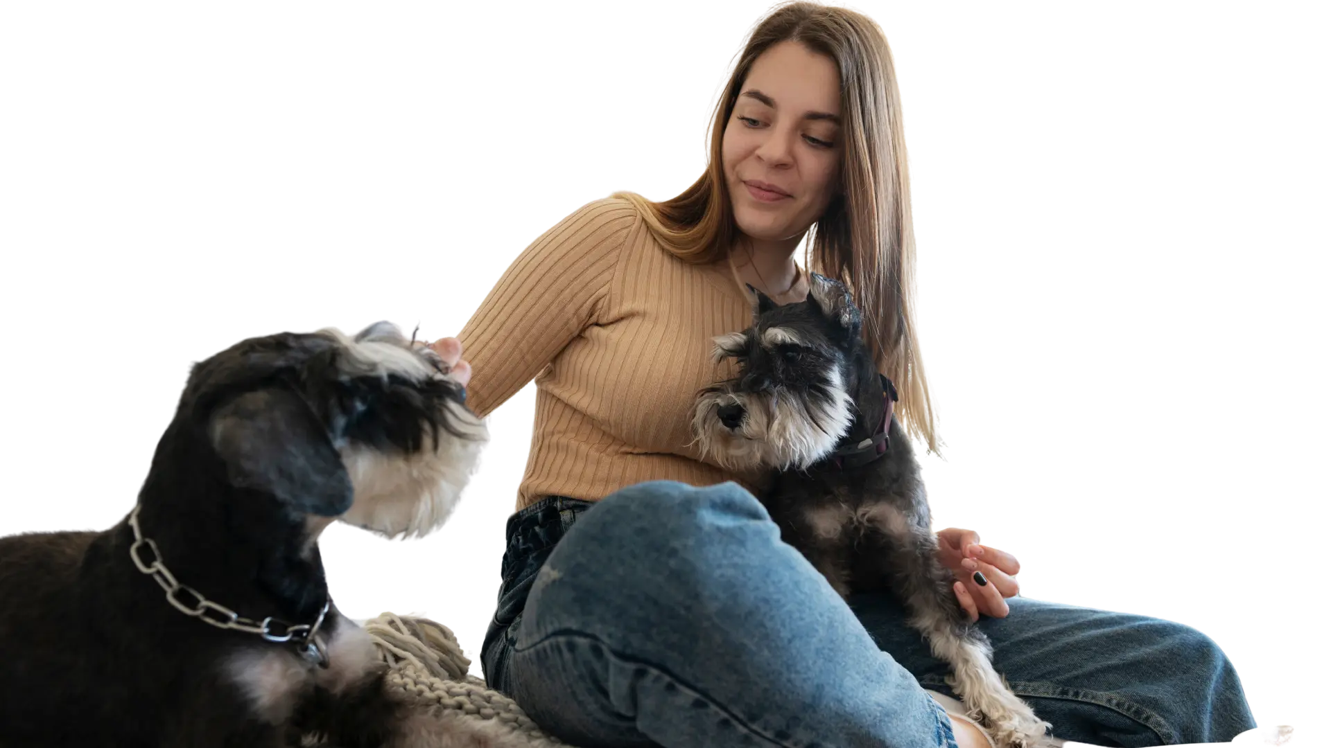 Création de site internet pour Pet Sitter